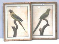 Lot 142