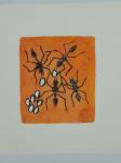 660 · FRAMED PRO HART ETCHING 'ANTS'