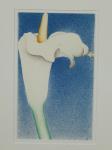 661 · FRAMED TOM SAMEK WATERCOLOUR '