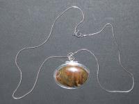 869 · STERLING SILVER & TAS PETRIFIE