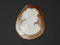 910 · LARGE SHELL CARVED CAMEO