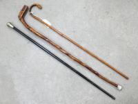 1060 · 3 WALKING CANES