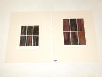 1073 · 2 MOUNTED RYLLTON VINEY ARTWOR