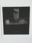 1153 · 2 FRAMED RYLLTON VINEY ARTWORK
