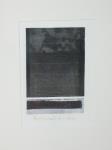 1157 · RYLLTON VINEY FRAMED ARTWORK H