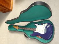 1342 · SX CUSTOM HANDMADE ELECTRIC GU