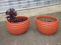 1789 · 2 ORANGE PAINTED, RIBBED PLANT