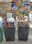 1795 · PAIR OF BLACK GLAZED PLANTERS
