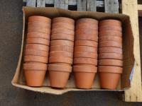 1865 · BOX OF 36 SMALL TERRACOTTA POTS