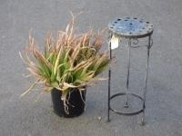 1934 · SMALL METAL PLANT STAND & A PO
