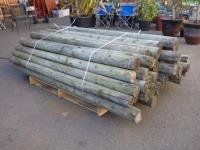 1952 · PALLET OF TREATED PINE POSTS