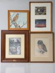 Original Artwork Of A Falcon,