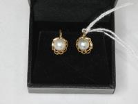 Pair Of 14ct Pearl Set Earring