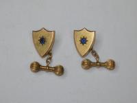 905 · PAIR OF 15CT BLUE STONE SET CU