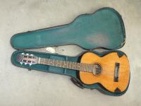 A GUITAR & CARRY CASE