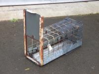 1704 · ANIMAL TRAP