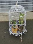 ORNAMENTAL BIRD CAGE WITH 3 PO