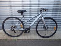 1905 · GREY MOUNTAIN BIKE
