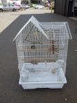 1941 · LARGE WHITE BIRD CAGE