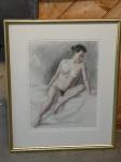 1119 · PENCIL & PASTEL NUDE STUDY SIG