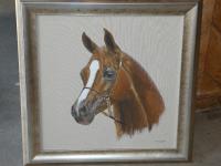 1123 · M. NUZUM OIL 'STUDY OF A HORSE