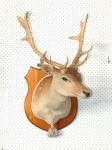 1128 · MOUNTED STAG HEAD