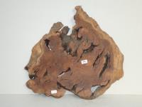 Timber Burl Section Resembling
